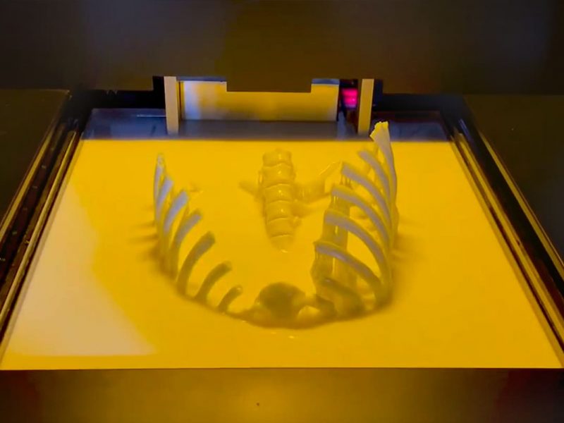 sla